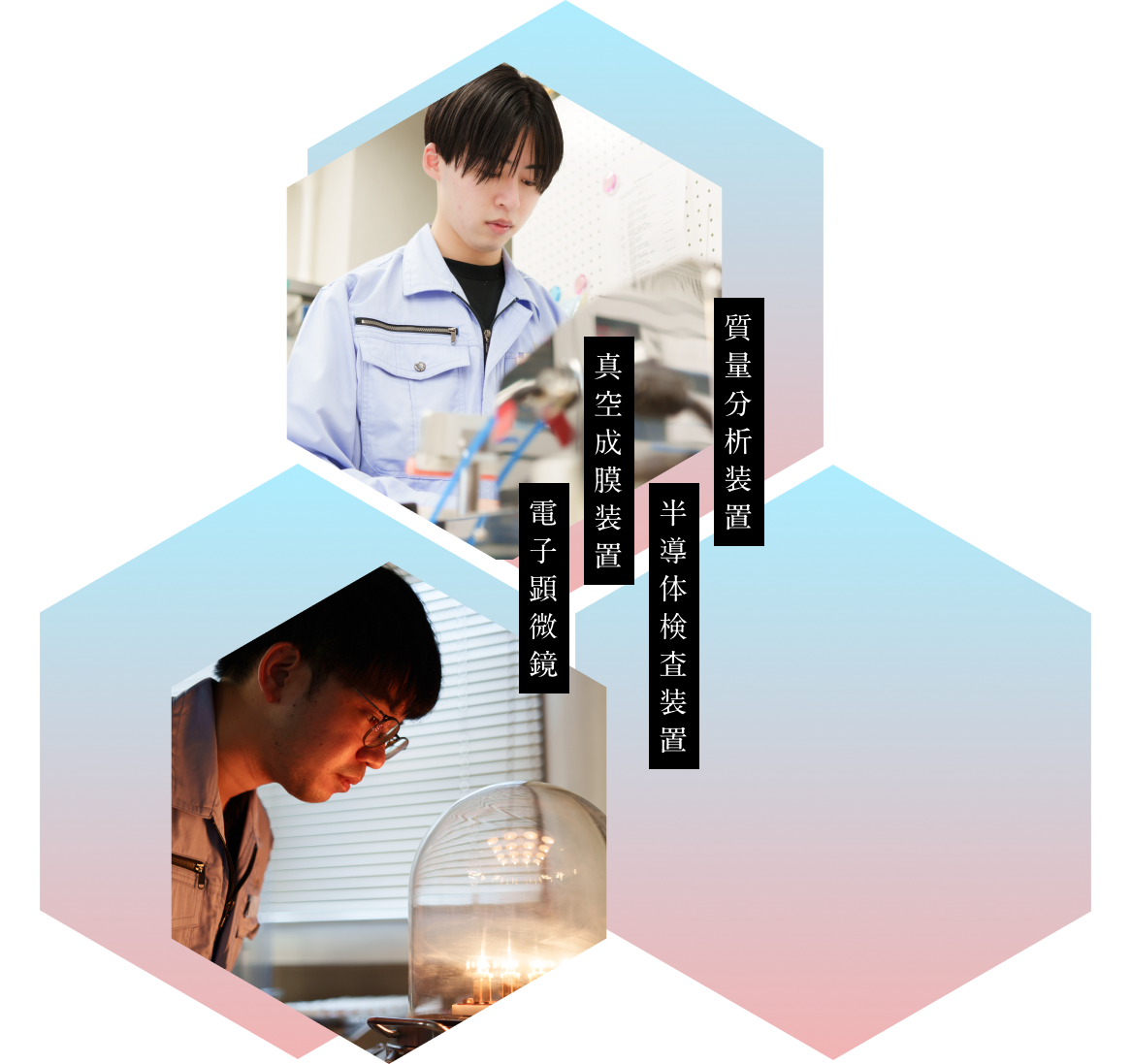 質量分析装置 半導体検査装置 真空成膜装置 電子顕微鏡